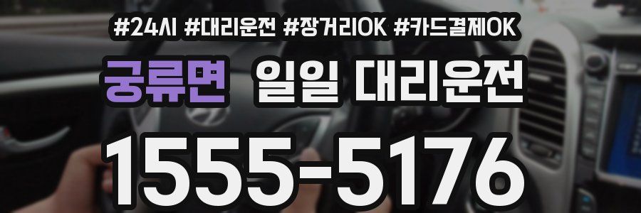 궁류면 일일 대리운전
