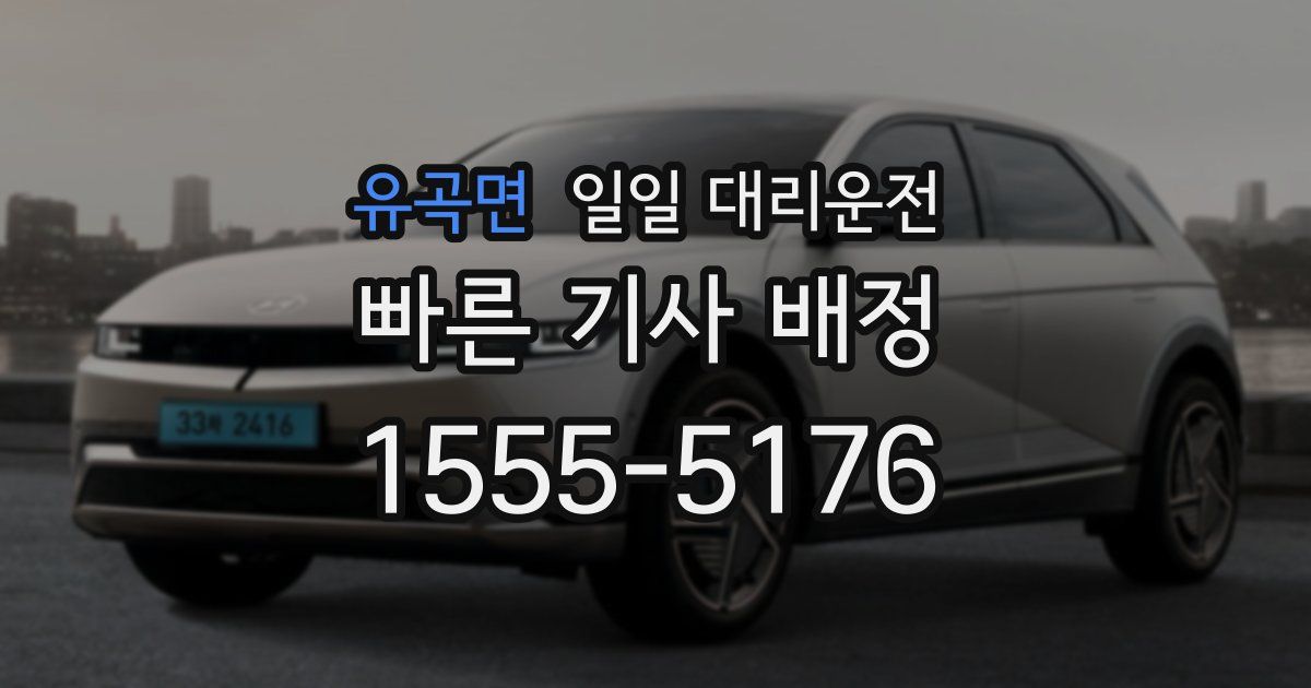 유곡면 일일 대리운전