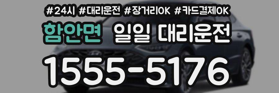 함안면 일일 대리운전