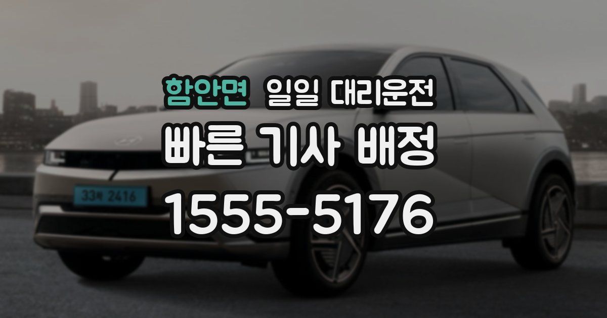 함안면 일일 대리운전