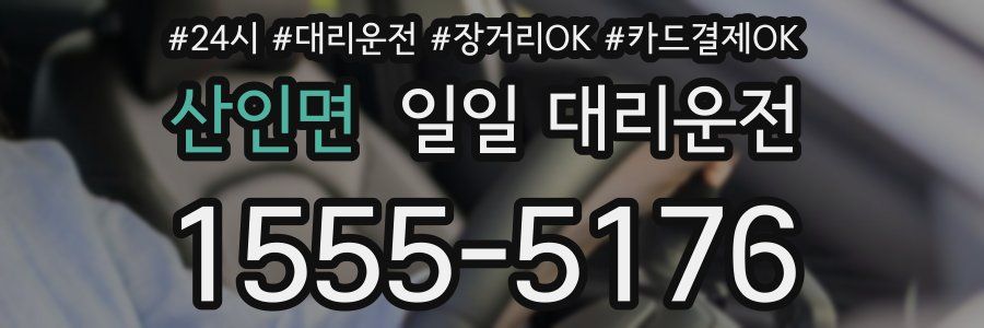 산인면 일일 대리운전