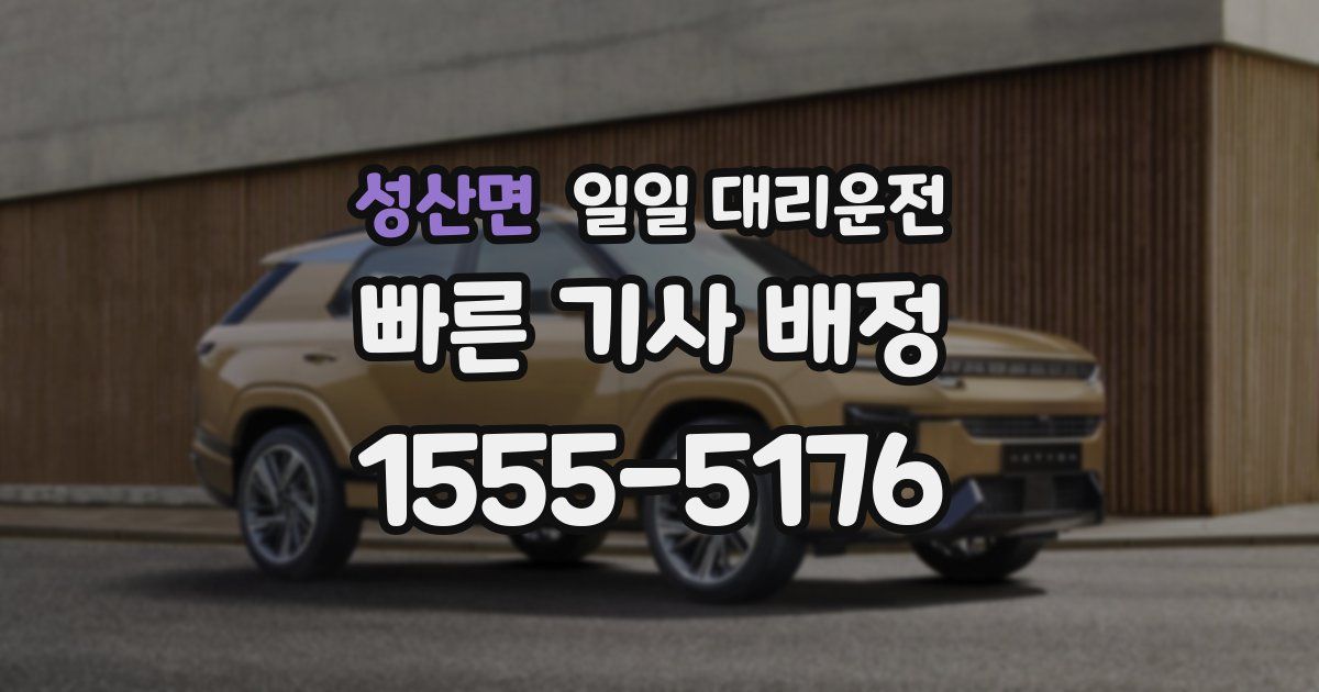 성산면 일일 대리운전