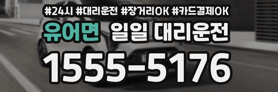 유어면 일일 대리운전