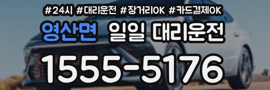 영산면 일일 대리운전