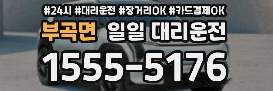부곡면 일일 대리운전