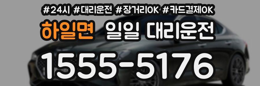 하일면 일일 대리운전