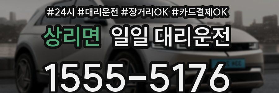 상리면 일일 대리운전
