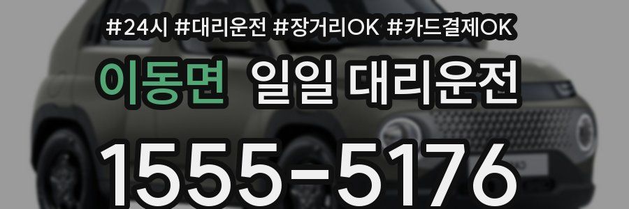 이동면 일일 대리운전