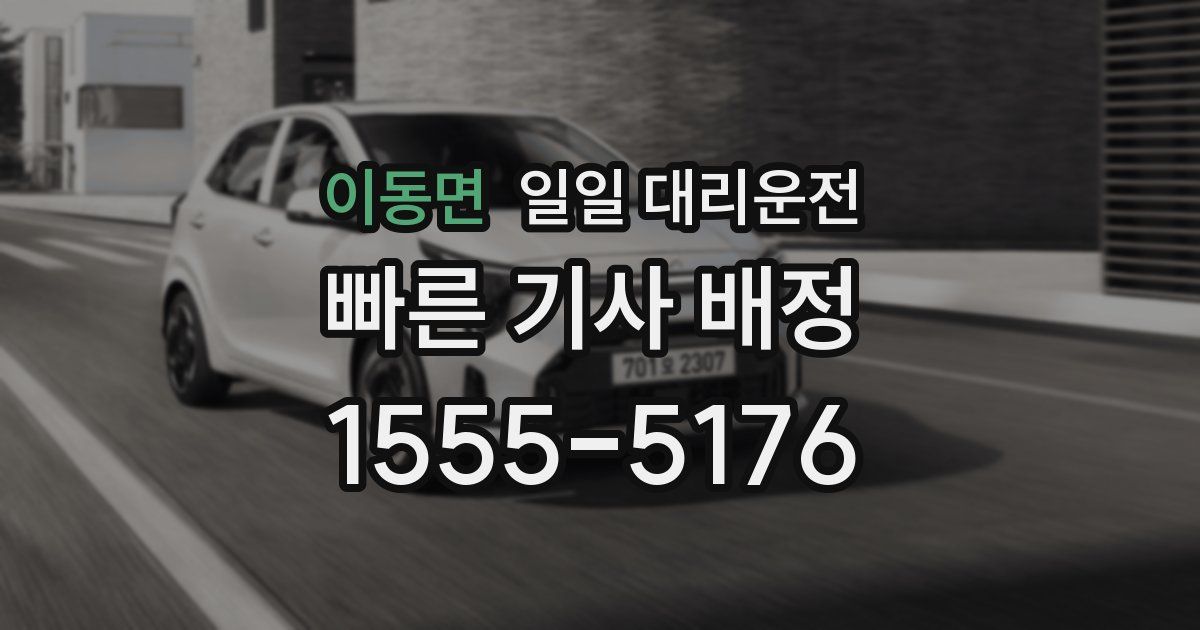 이동면 일일 대리운전