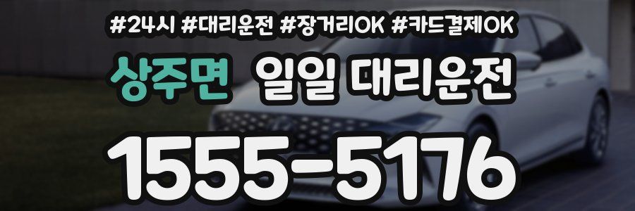 상주면 일일 대리운전