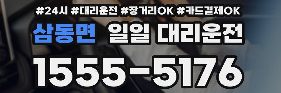 삼동면 일일 대리운전