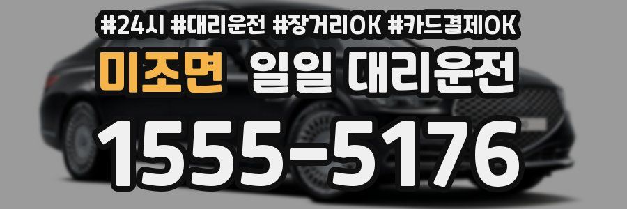 미조면 일일 대리운전