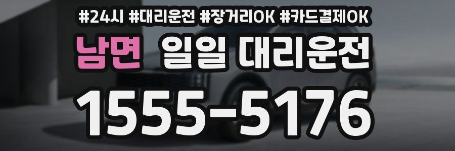 남면 일일 대리운전