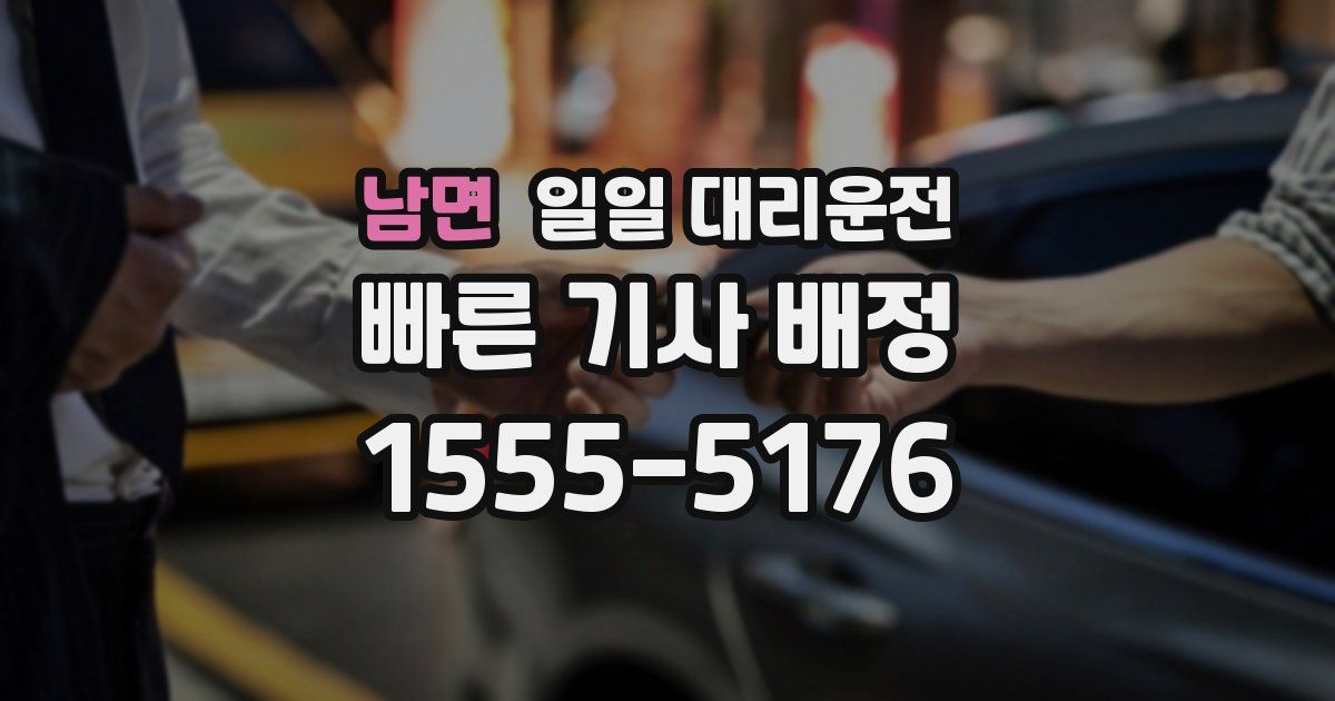 남면 일일 대리운전