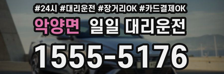 악양면 일일 대리운전