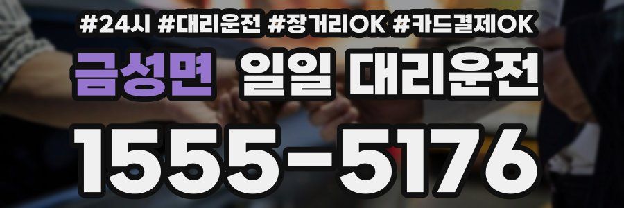 금성면 일일 대리운전