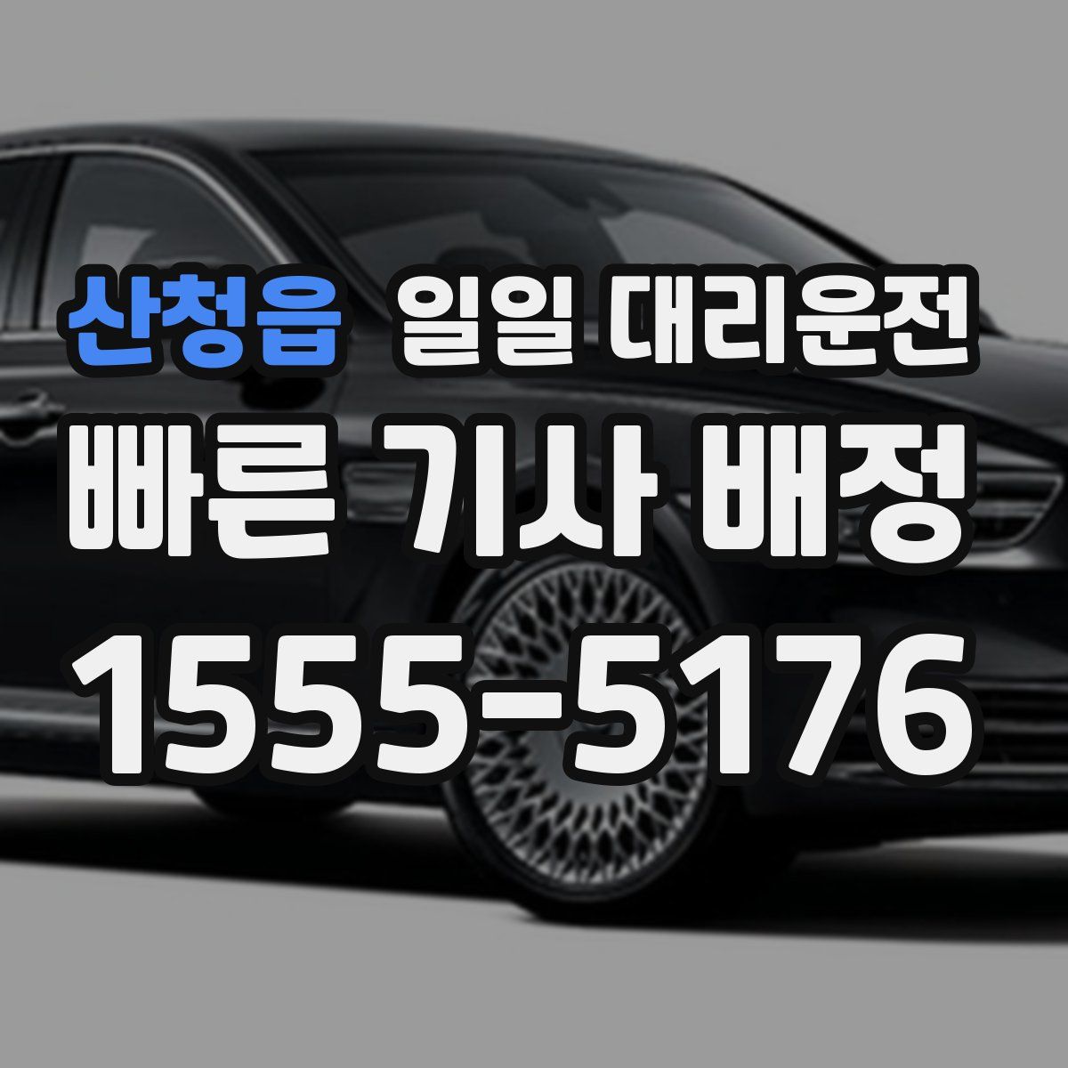 산청읍 일일 대리운전