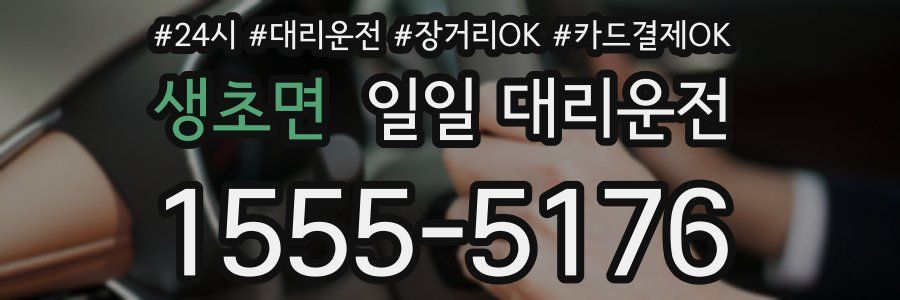 생초면 일일 대리운전