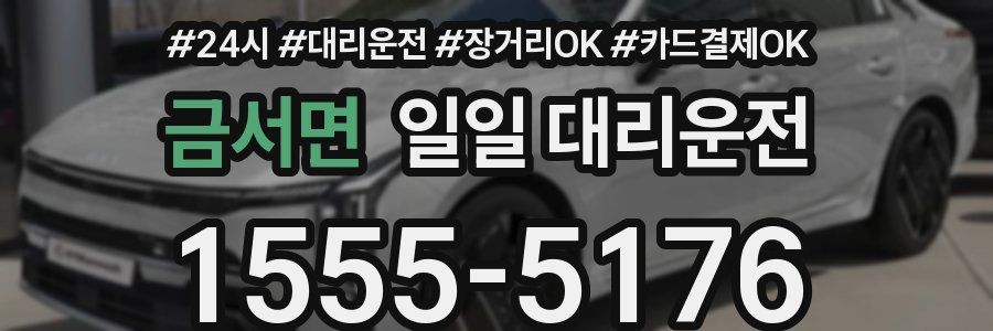 금서면 일일 대리운전
