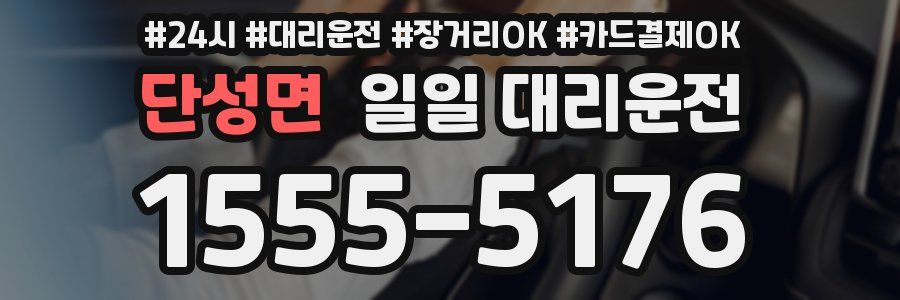단성면 일일 대리운전