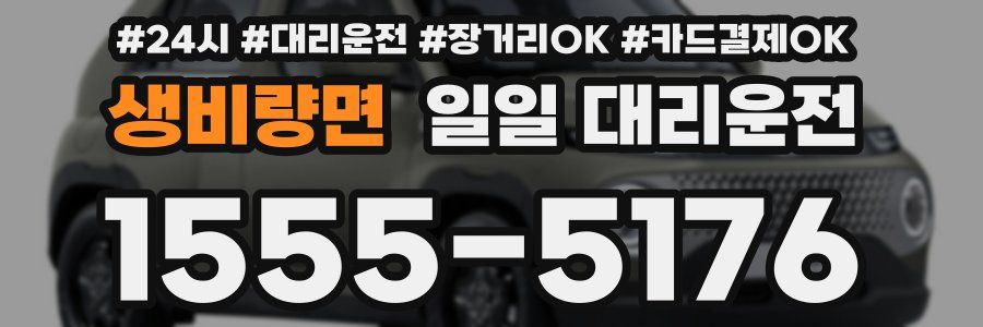 생비량면 일일 대리운전