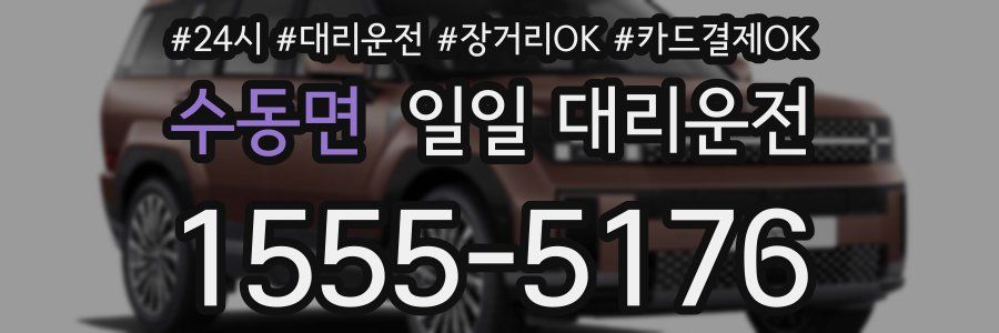 수동면 일일 대리운전