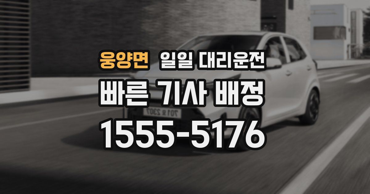 웅양면 일일 대리운전