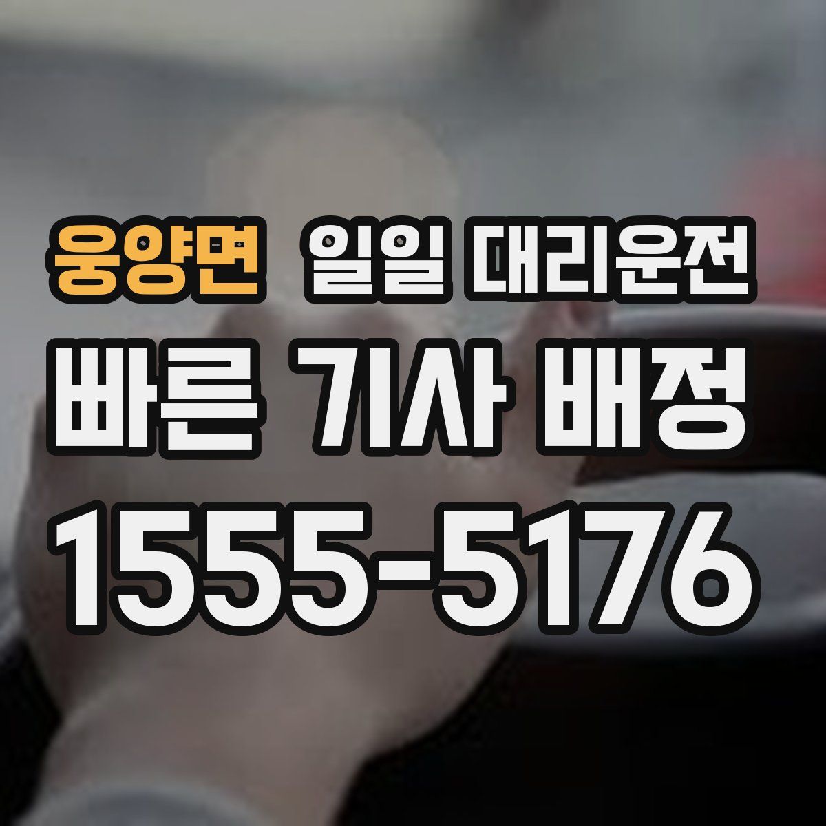 웅양면 일일 대리운전