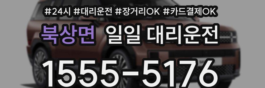 북상면 일일 대리운전