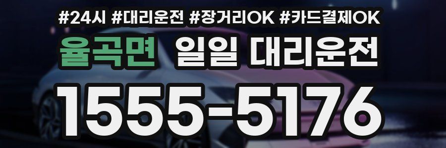 율곡면 일일 대리운전