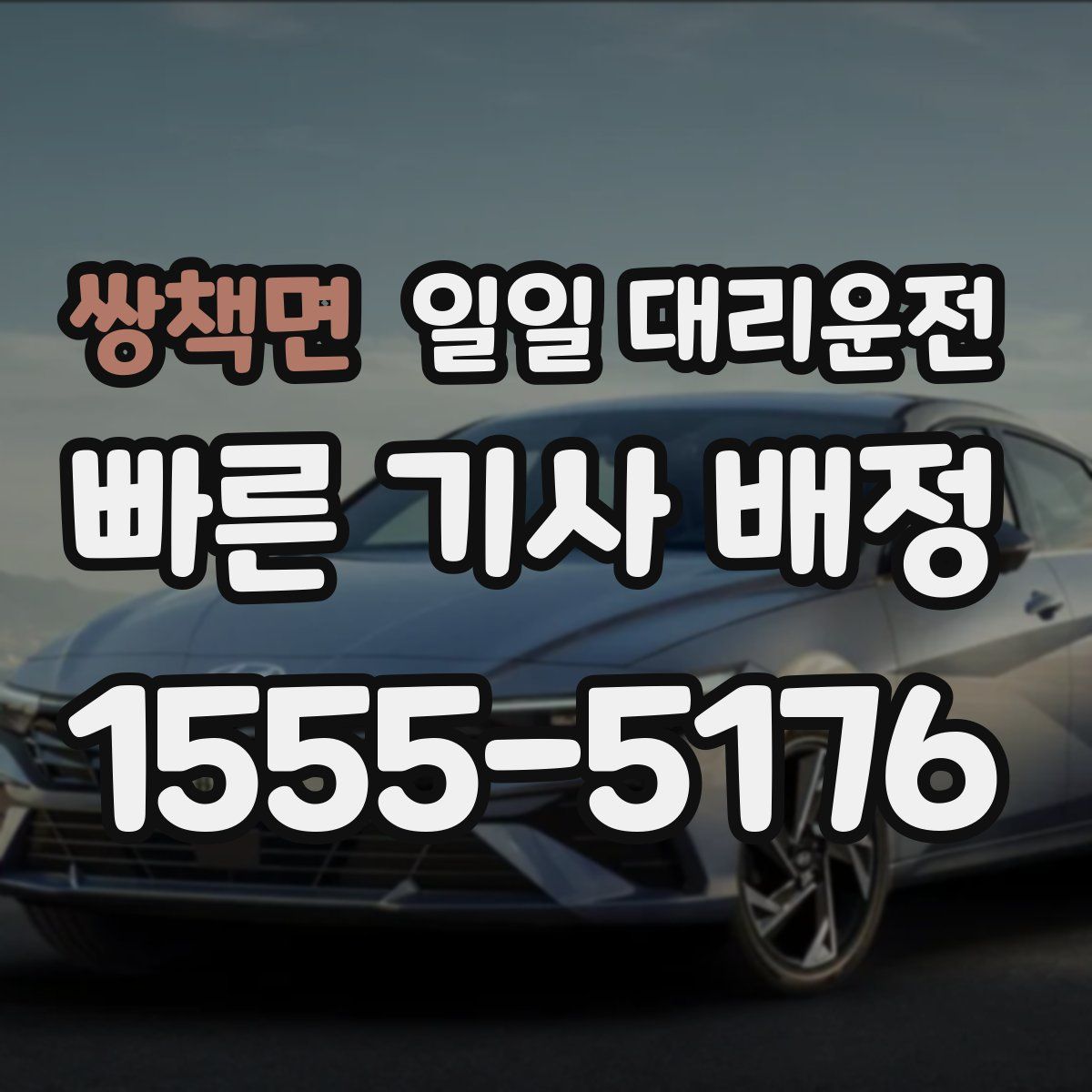 쌍책면 일일 대리운전