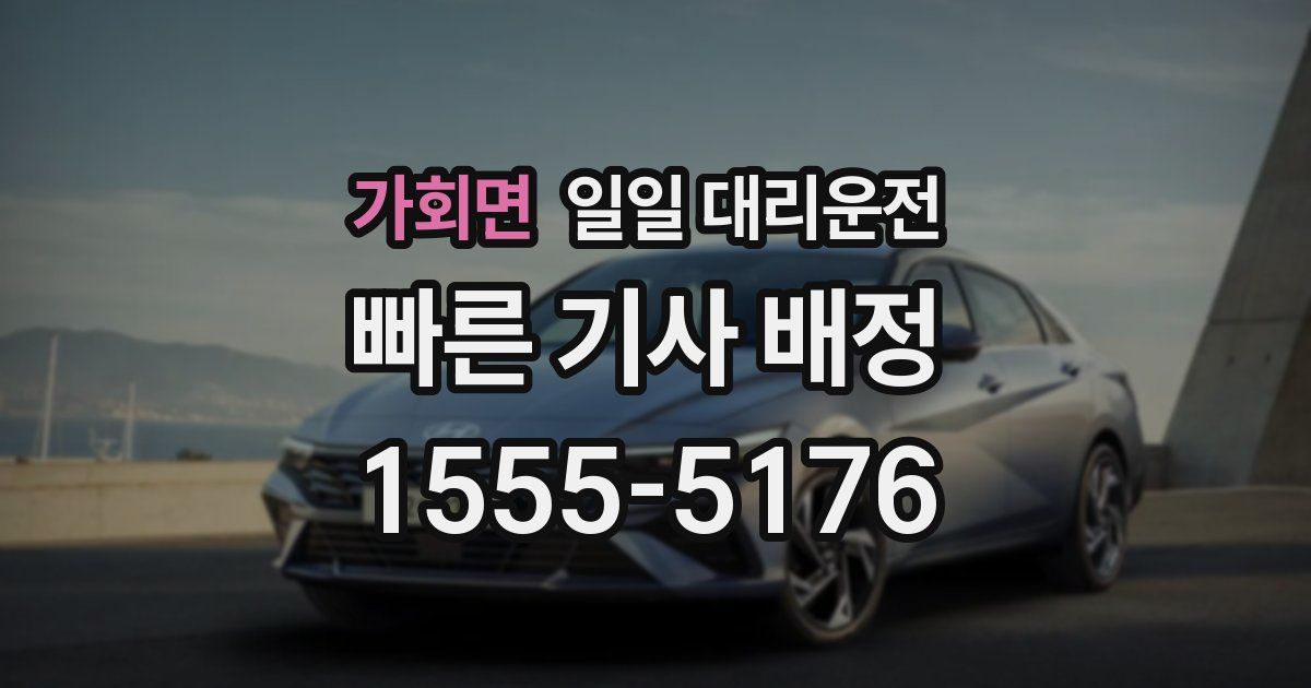 가회면 일일 대리운전