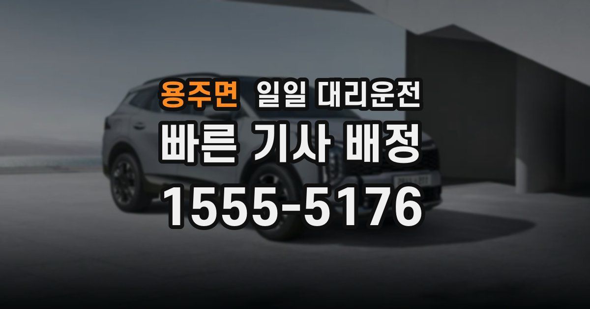 용주면 일일 대리운전