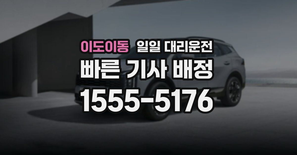 이도이동 일일 대리운전