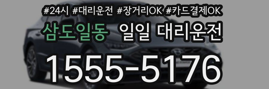 삼도일동 일일 대리운전