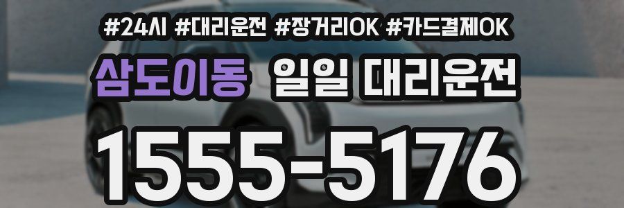 삼도이동 일일 대리운전