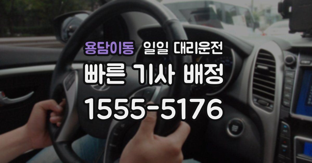 용담이동 일일 대리운전