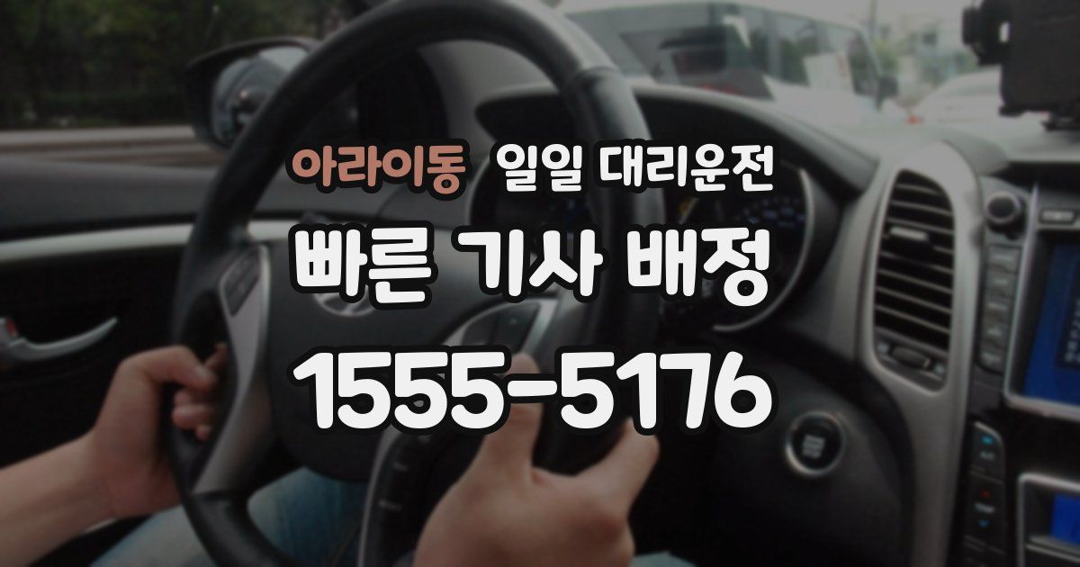 아라이동 일일 대리운전