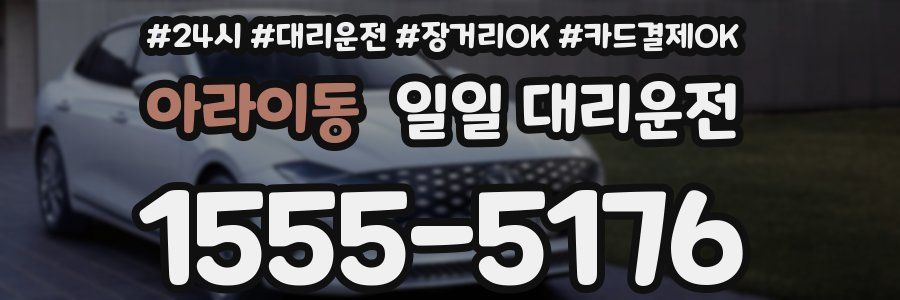 아라이동 일일 대리운전