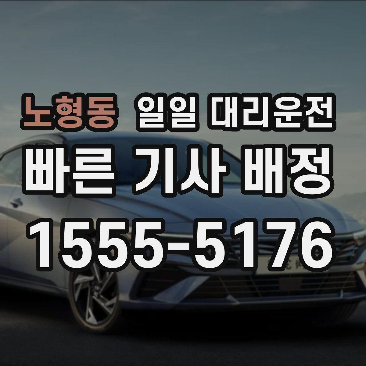 노형동 일일 대리운전