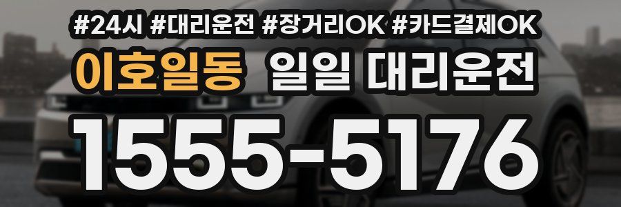 이호일동 일일 대리운전