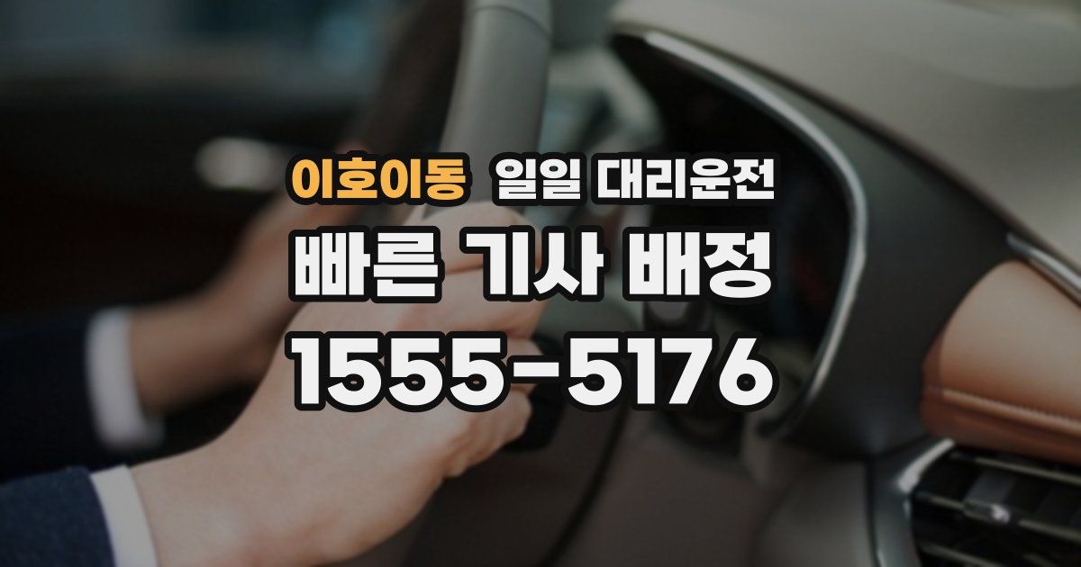 이호이동 일일 대리운전