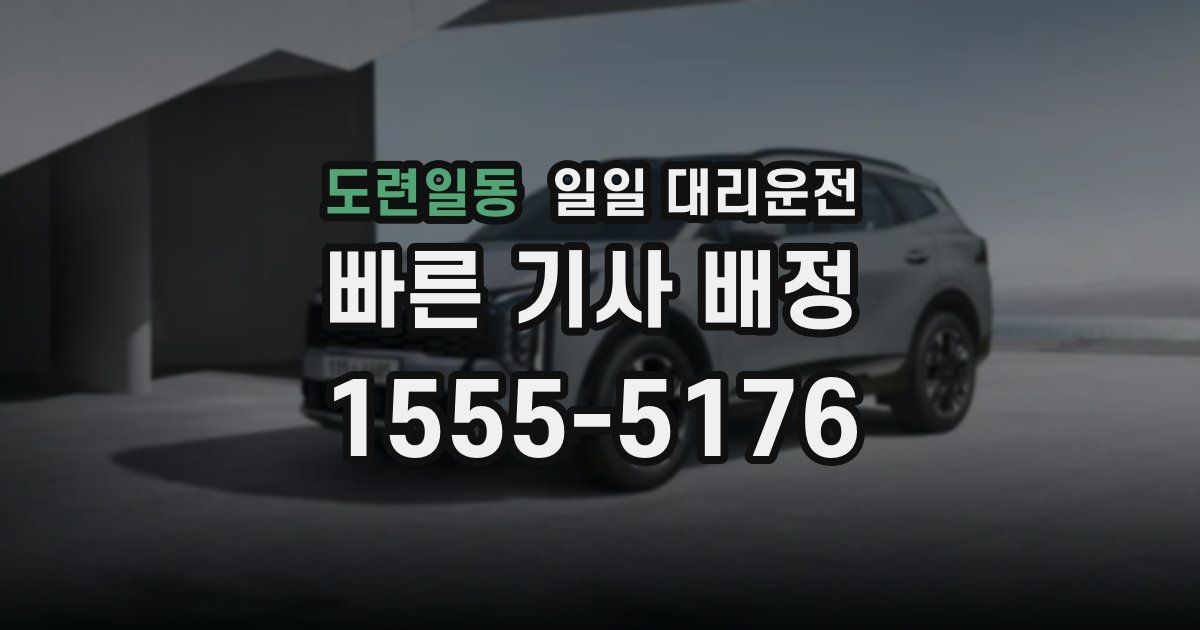 도련일동 일일 대리운전