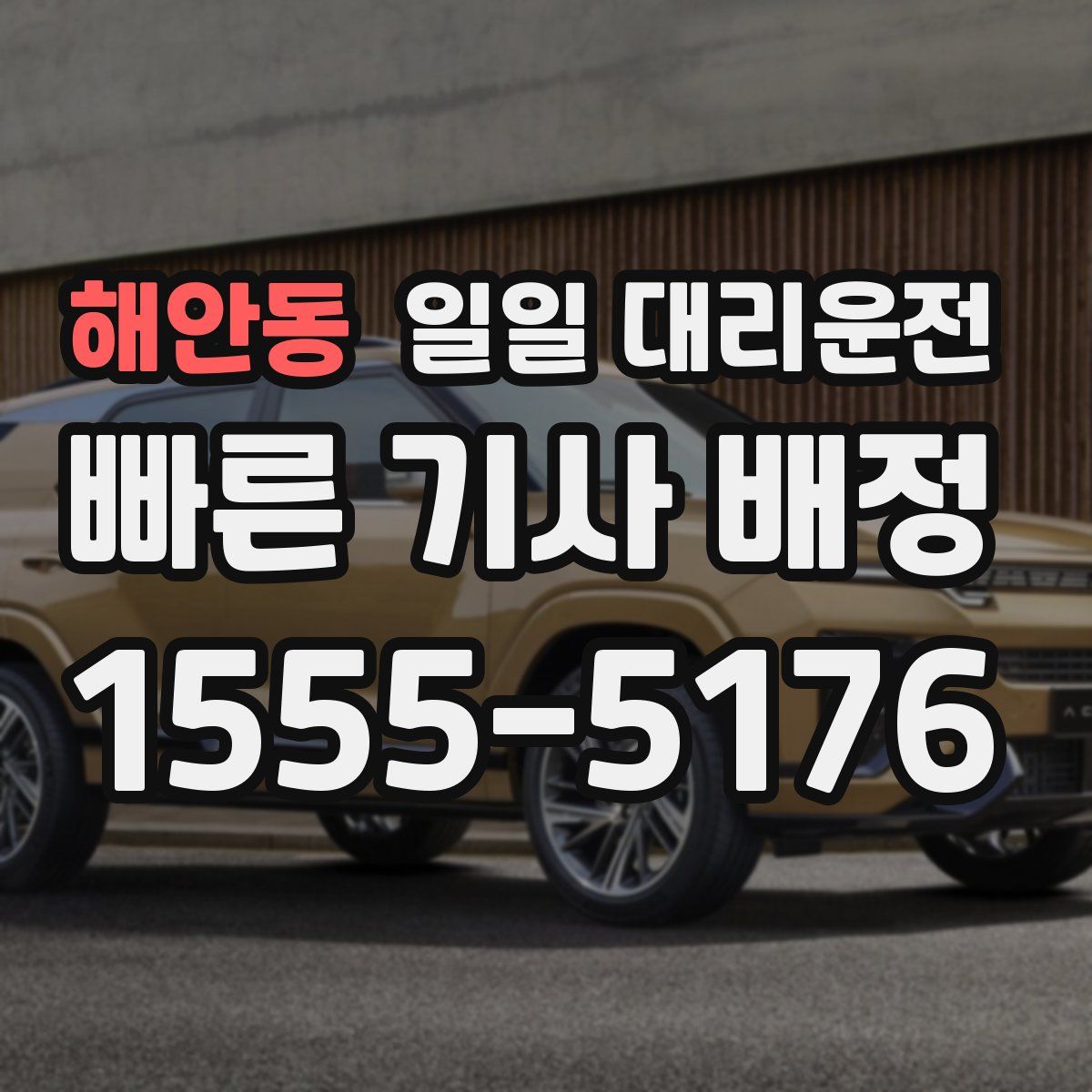 해안동 일일 대리운전