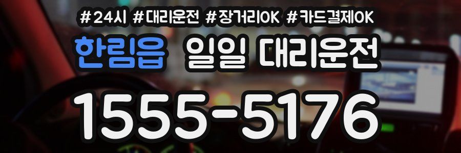 한림읍 일일 대리운전