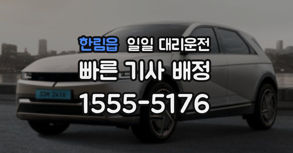 한림읍 일일 대리운전