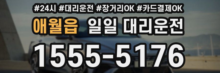 애월읍 일일 대리운전