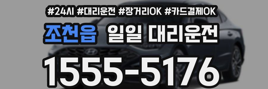 조천읍 일일 대리운전