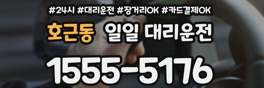 호근동 일일 대리운전