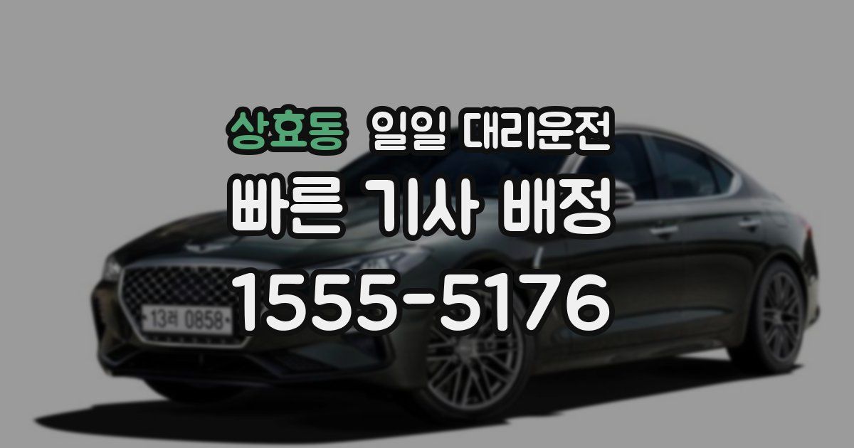 상효동 일일 대리운전